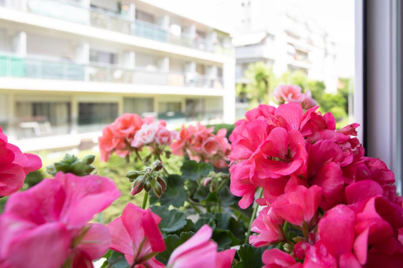 Boutique La Lavande Free Parking 10 Min Walk Apartment *